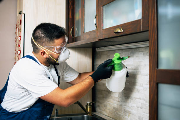 Wildlife Control Services in Ridge Wood Heights, FL