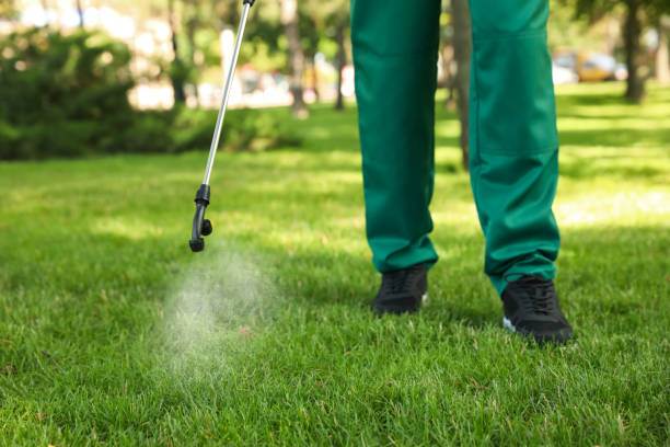Best Pest Inspection Near Me  in Ridge Wood Heights, FL