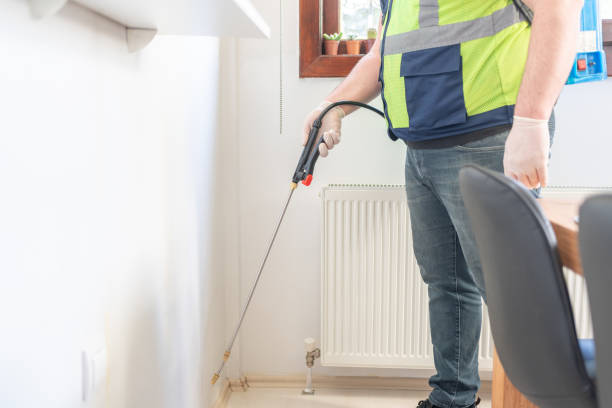 Best Affordable Pest Control Services  in Ridge Wood Heights, FL