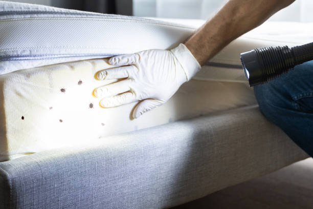 Best Cockroach Control Services  in Ridge Wood Heights, FL
