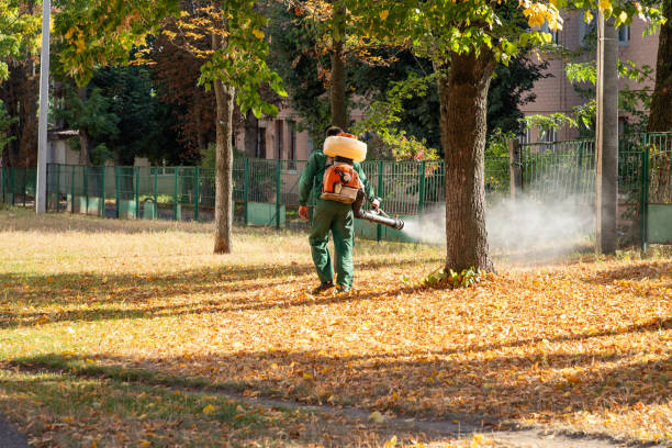 Trusted Ridge Wood Heights, FL Pest Control Experts