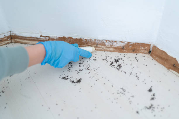 Pest Control Cost in Ridge Wood Heights, FL